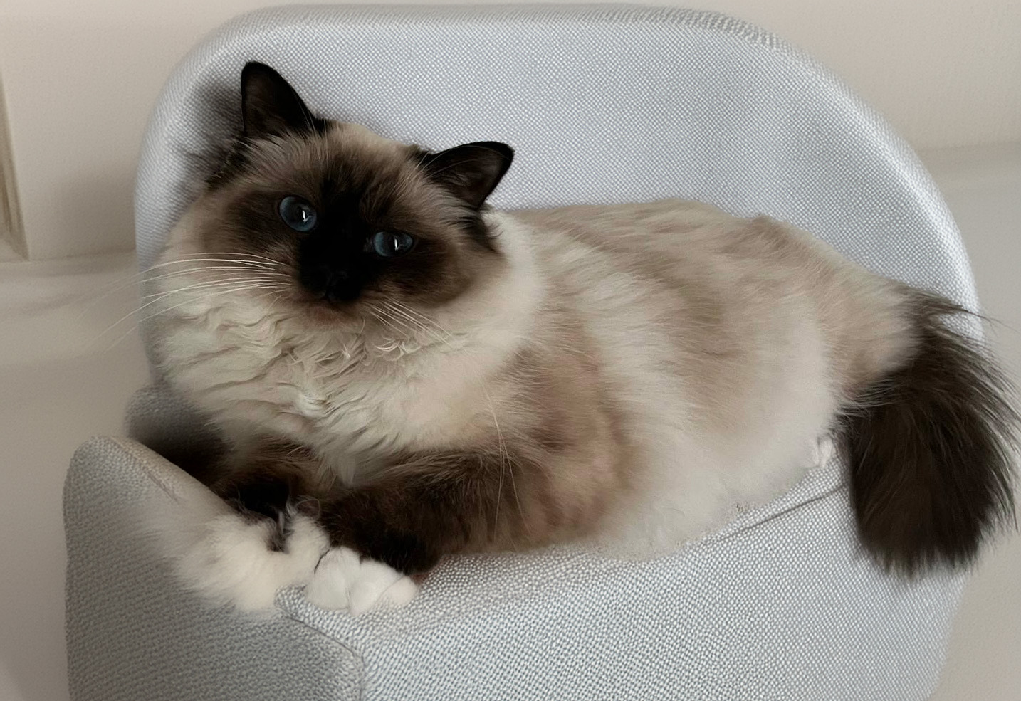 Raja's Filippa
