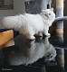 26: xweet_xavannah_191012_3
